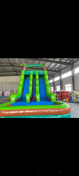 $279 20 ft tall DUAL lane tropical waterslide into a large pool
