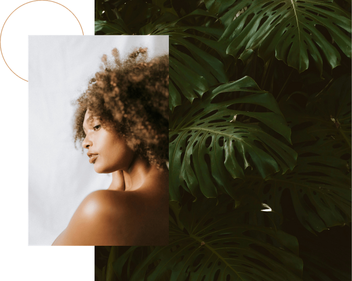 Artistic collage featuring a woman with natural curls in profile next to lush, dark green monstera deliciosa leaves.