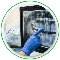 Dentist pointing at an X Ray