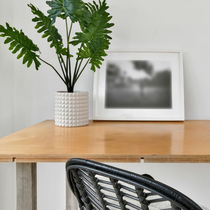 Photo and plant on desk