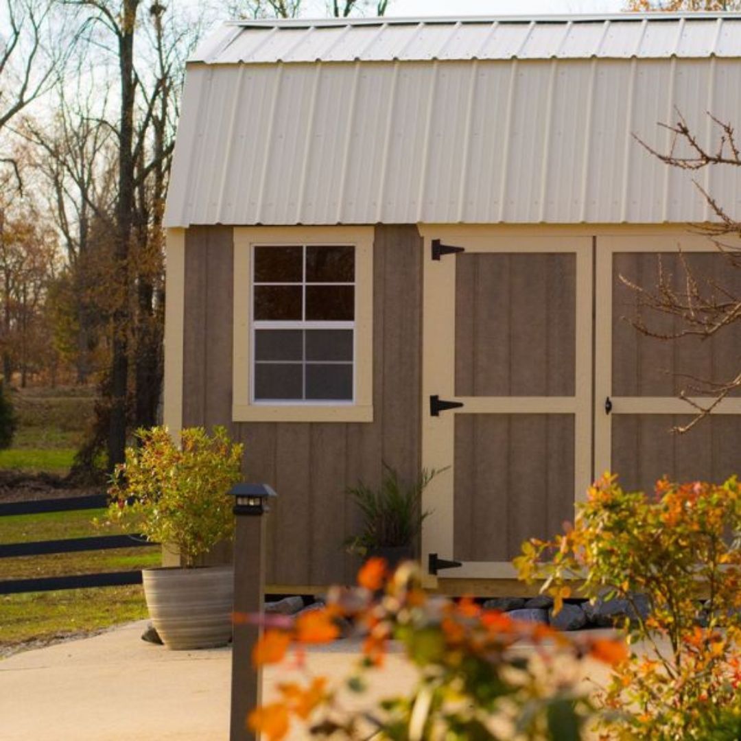 shed outside surrounded by plants