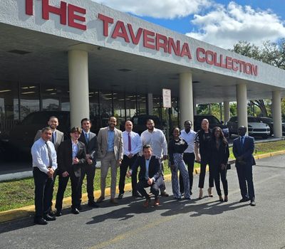 The Taverna Collection (Jan 2025)