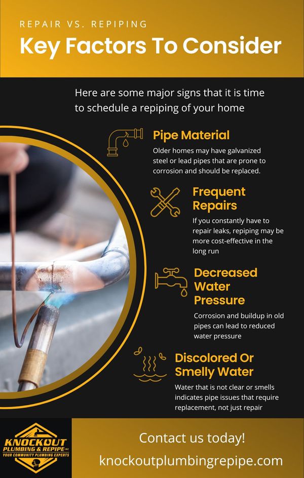 infographic about when to consider repiping
