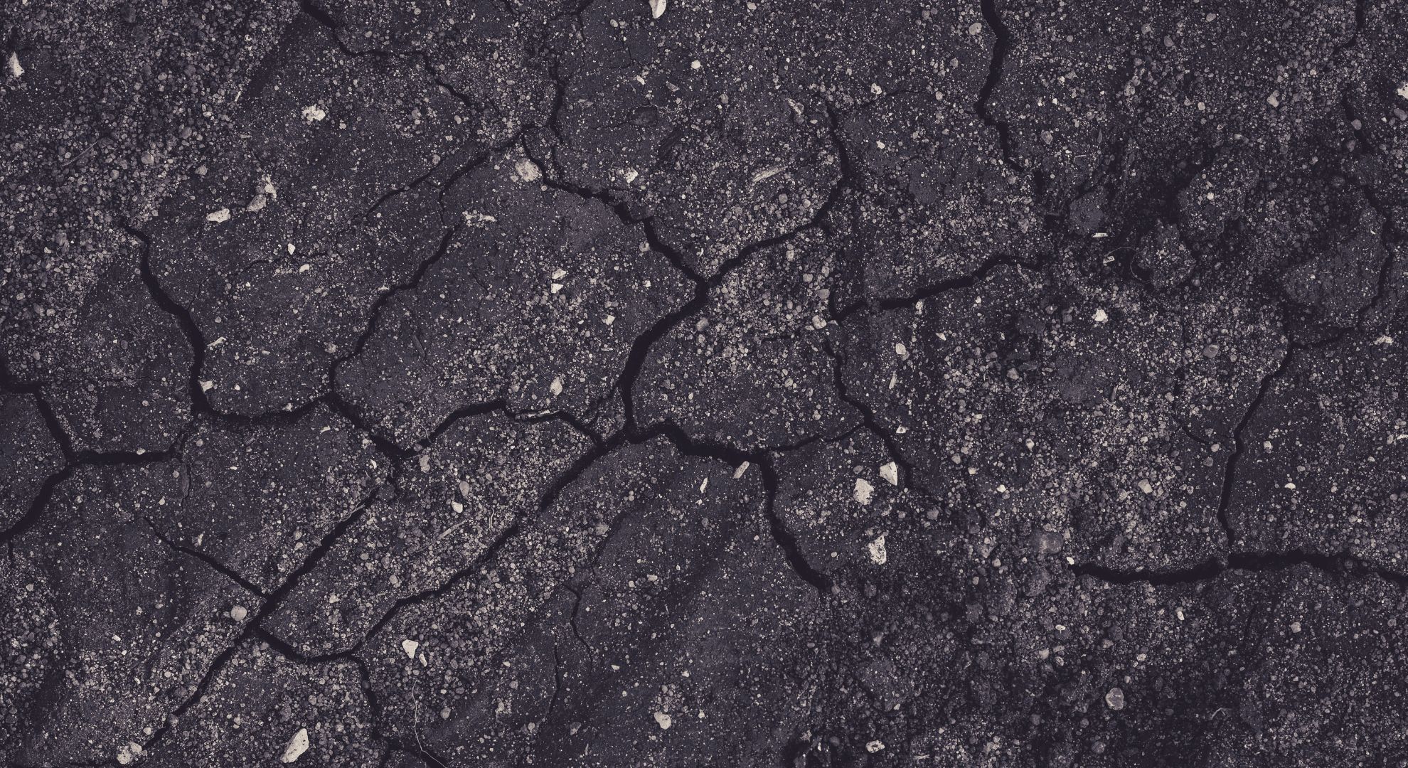 close-up of cracked asphalt