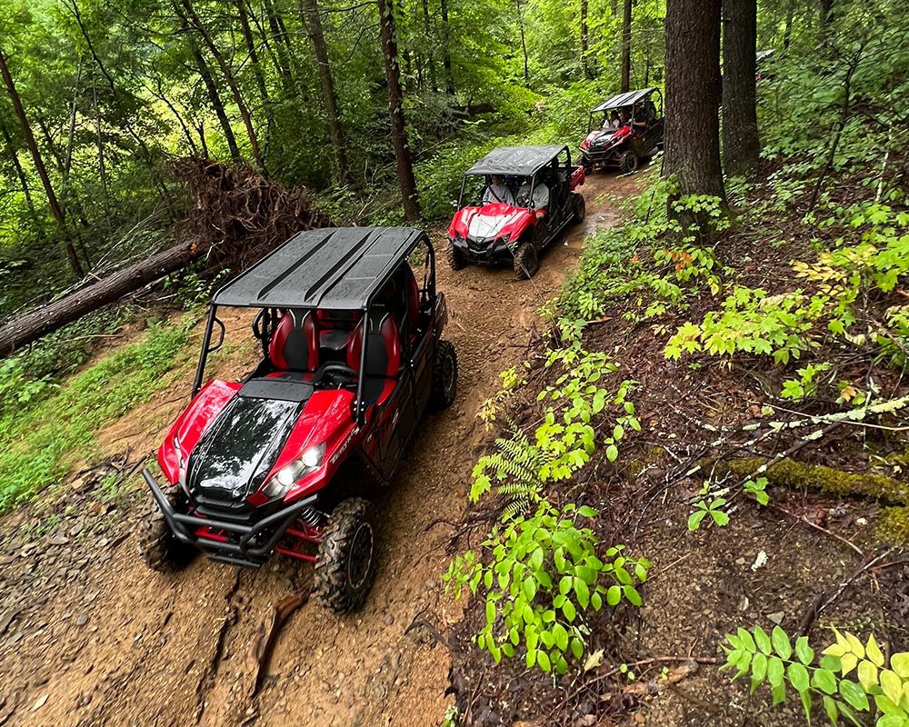 Guided Off-Roading UTV Tours PB Row 6 Pic.jpg