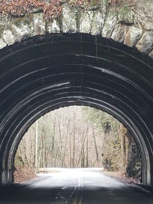 tunnel