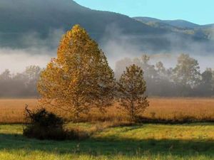 Advantages of Seeing the Smoky Mountains in a UTV BB50 50 Pic 2.jpg