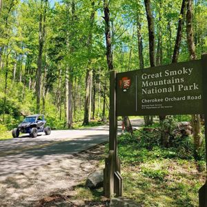 Explore The Great Smoky Mountains - Mountain Life UTV Rentals.jpg