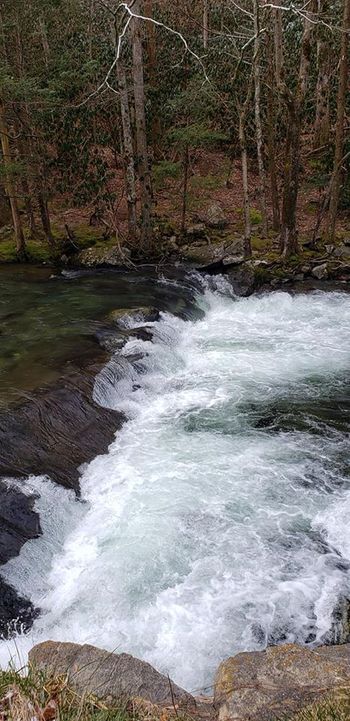 creek