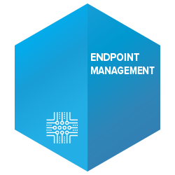 Endpoint Management Icon