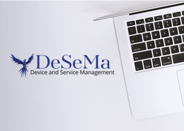 An image of the DeSeMa logo next to a laptop.