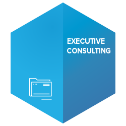 Executive Consulting Icon