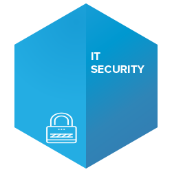 IT Security Icon