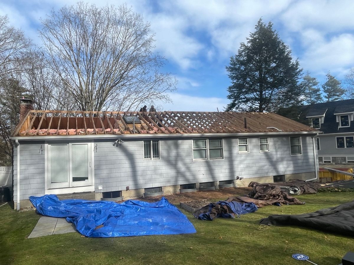 Residential roof stripped down to the open framing rafters and studs during a structural decking replacement project in Wellesley MA.
