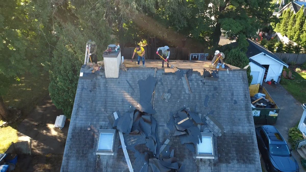 Drone view of roof tear-off, strip of old shingles with replacement in progress by Natarelli & Son Roofing and Gutters in Natick, MA.