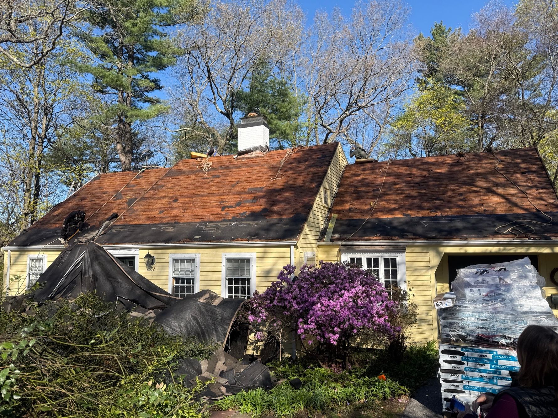 Inspecting clean plywood roof decking during a local roofing replacement project in Wellesley MA.
