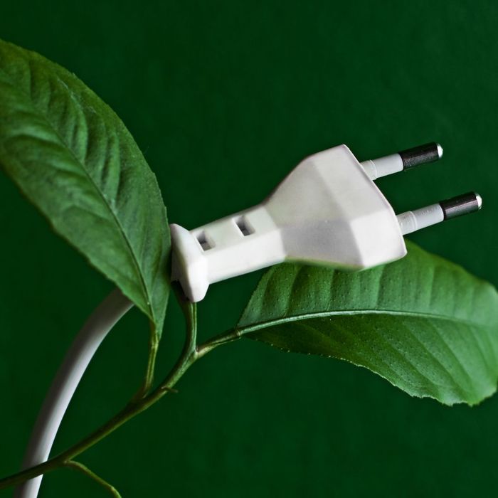 plug and green leaf