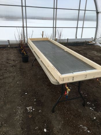 Fig.2 - Empty Grow Table - Needs Connection to Hydro Thermal Fig.2 - Empty Grow Table - Needs Connection to Hydro Thermal