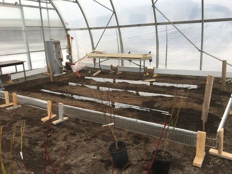 Fig.6 -Grow Table and Hot Water Tank Hooked up Fig.6 -Grow Table and Hot Water Tank Hooked up
