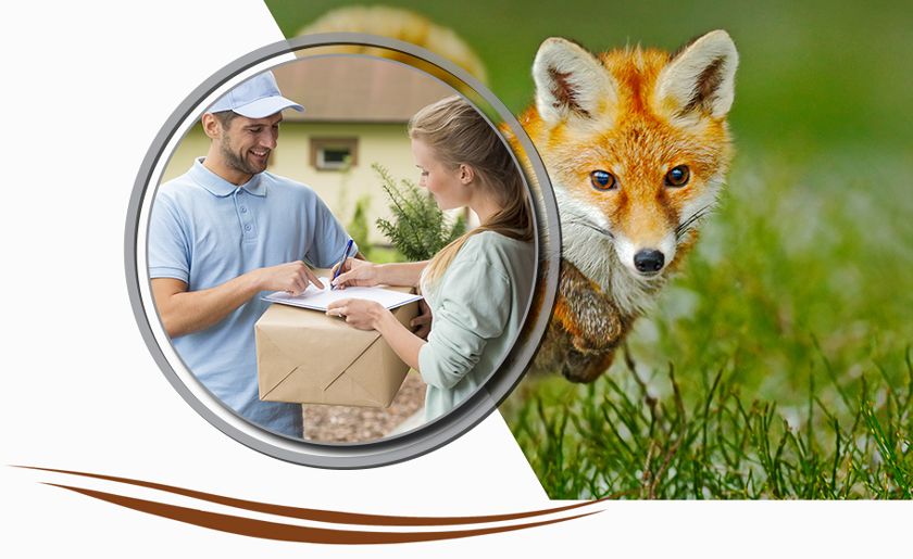 Image of a person delivering packages with a backdrop of a running fox