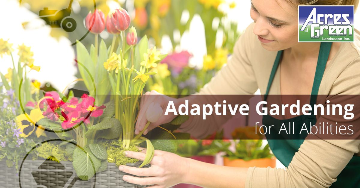 Adaptive-Gardening-For-All-Abilities-5b0d9a77f2eff.jpg