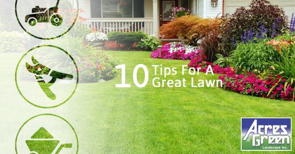 10-Tips-For-A-Great-Lawn-59440d55c2100.jpg
