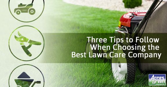 Three-Tips-to-Follow-When-Choosing-the-Best-Lawn-Care-Company-5afd9d900f36a.jpg