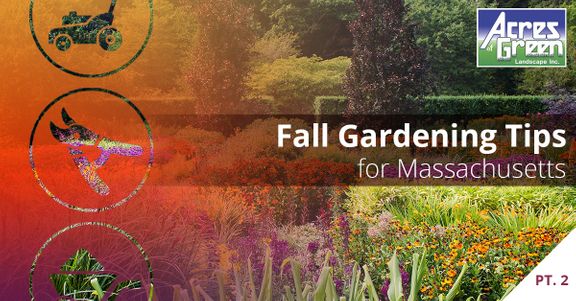 Part-Two-Fall-Gardening-Tips-for-Massachusetts-59ca66e32bd6e.jpg