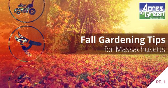 Part-One-Fall-Gardening-Tips-for-Massachusetts-59ca66dd19ffa.jpg