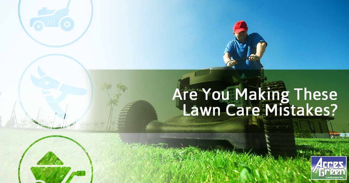 Are-You-Making-These-Lawn-Care-Mistakes-5b44ebd8ab7df.jpg
