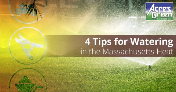 Four-Tips-For-Watering-In-The-Massachusetts-Heat-5b44eb8e5c403.jpg