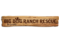 Home - Charity 2.png