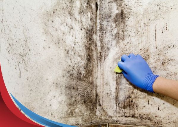 scrubbing moldy wall