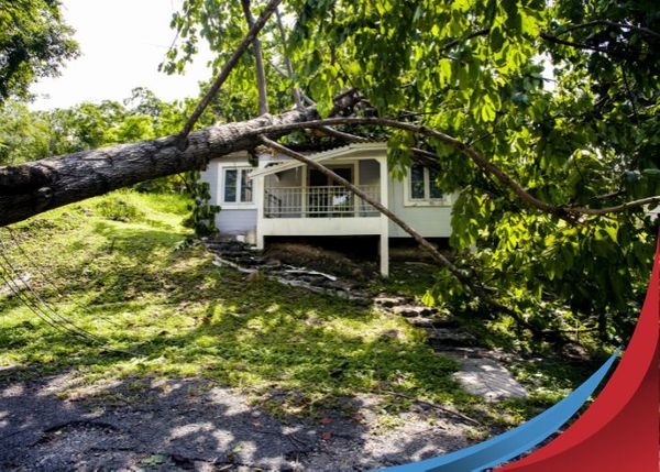 tree fallen on home after storm