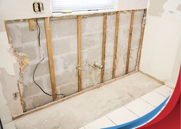 mold remediation mold remediation