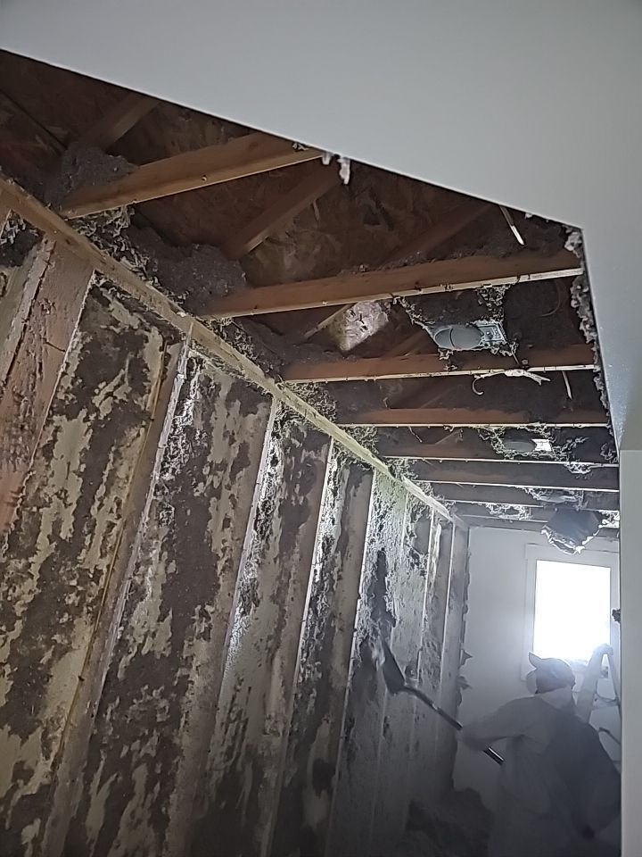 5883f4d67366917b20231030-1256-a3vfiu (1).jpg