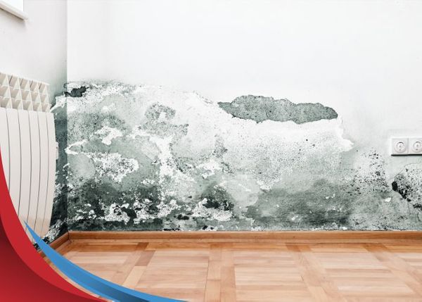 mold on wall