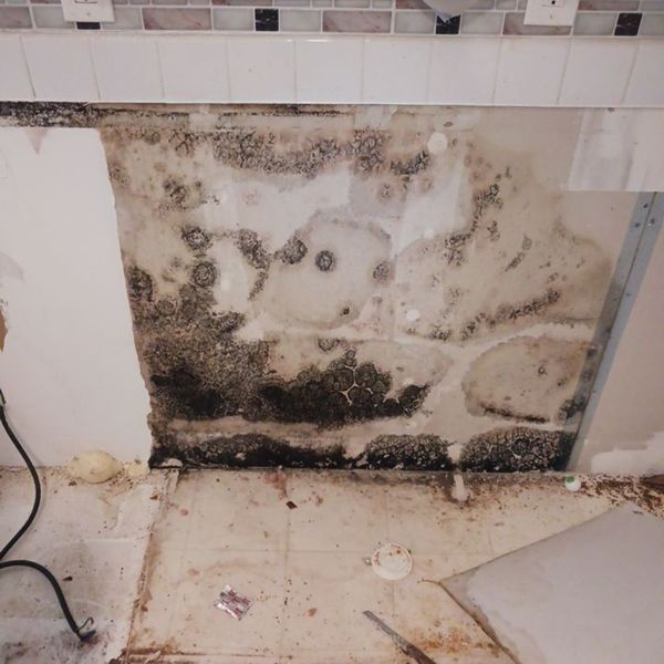 mold hidden behind tiles