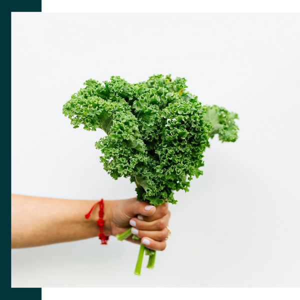 person holding leafy greens