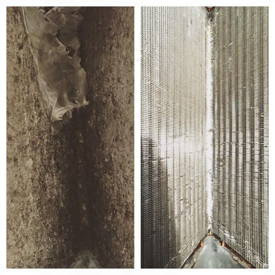 Jose_Calderon_(pepcal_ac)_-_clean_vs._dirty_evaporator_coil.jpg