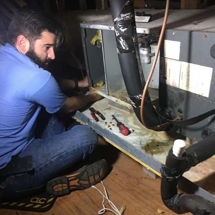 Service_Photo (1).jpg