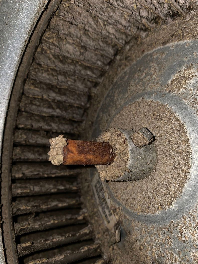 Jose_Calderon_(pepcal_ac)_-_dirty_wheel.jpg
