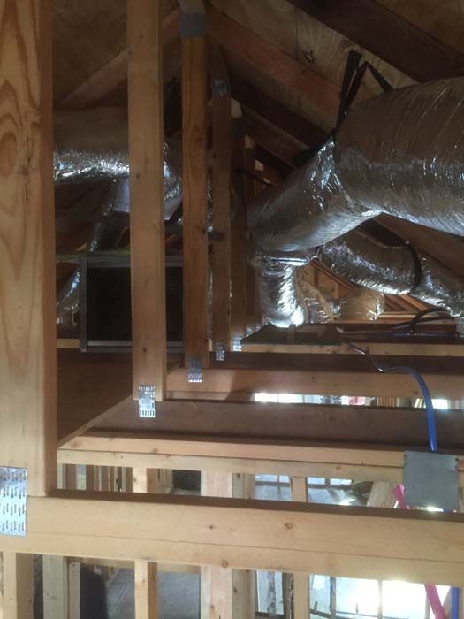 Jose_Calderon_(pepcal_ac)_-_121 (1).jpg