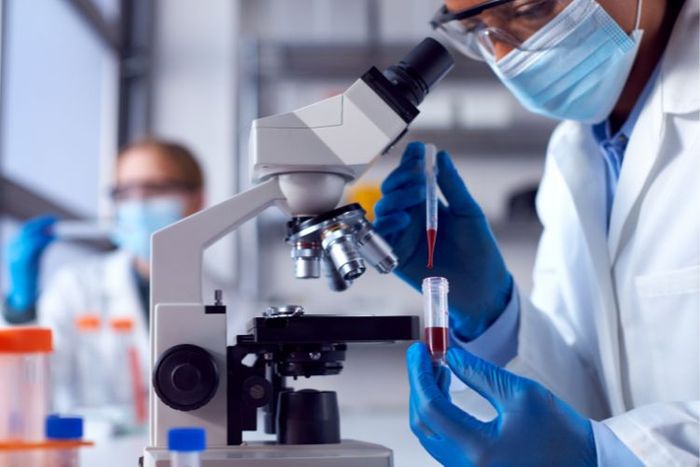 Lab technician dropping samples onto a microscope plate