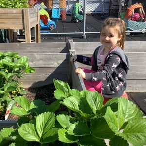 Summer Camps