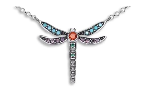 Dragon fly copy1.jpg