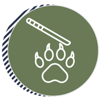 Grooming Services Add-Ons - Icon 12.png