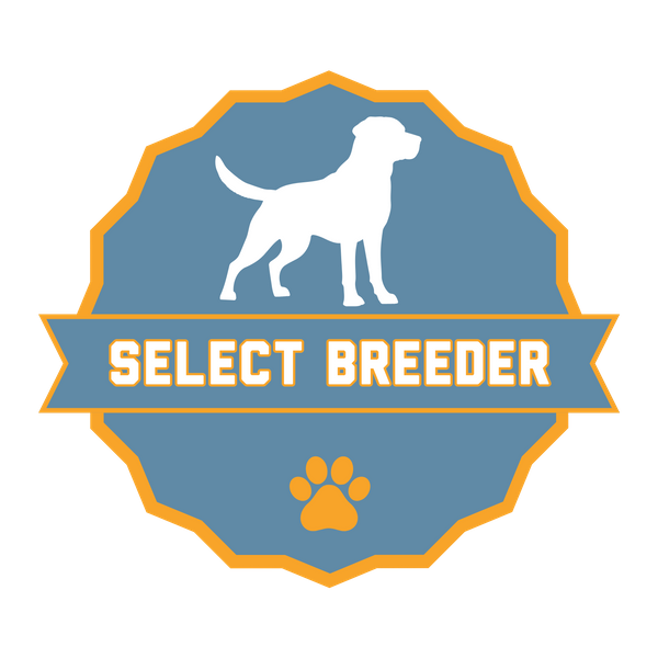 SELECT BREEDER Badge .png