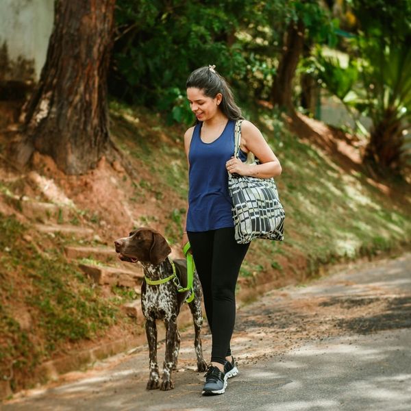 The Benefits of an Individualized Dog Training Program - Image 1.jpg