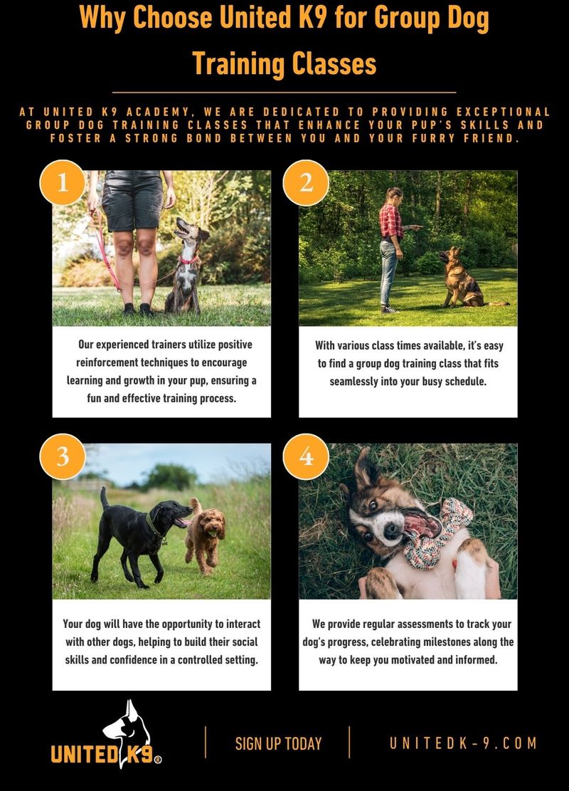 Infographic.jpg